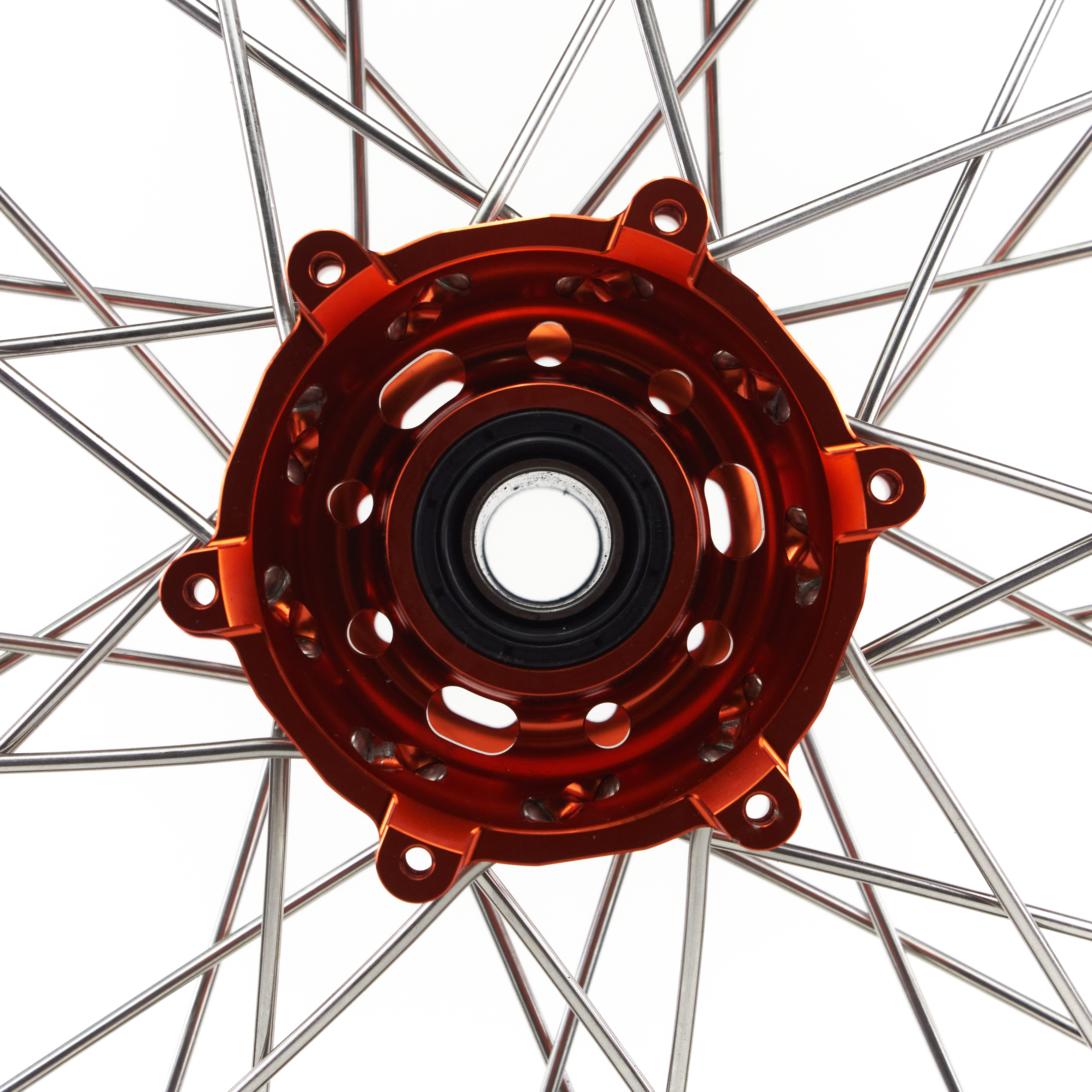 f13000256 (1)